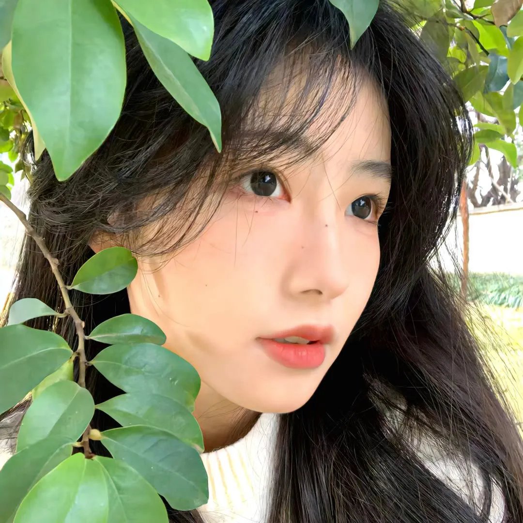 新：好孕皇后进阶录